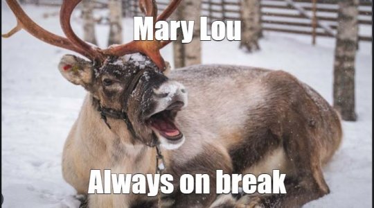 Mary Lou.JPG