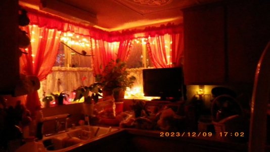 IMGP0555.JPG