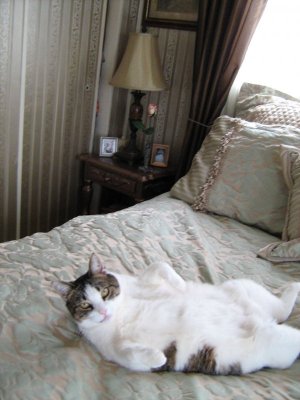 Bedroom, Xmas Lunar ecl, Cleo 2-2008 026.jpg