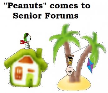 00.jpg