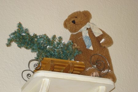 bear.JPG