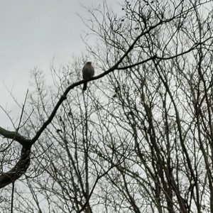 20231211_090702.jpg 20231211_090702.jpg