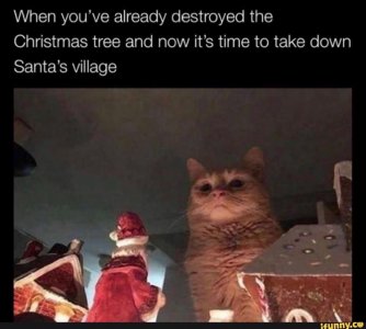 Christmas Cat.jpg