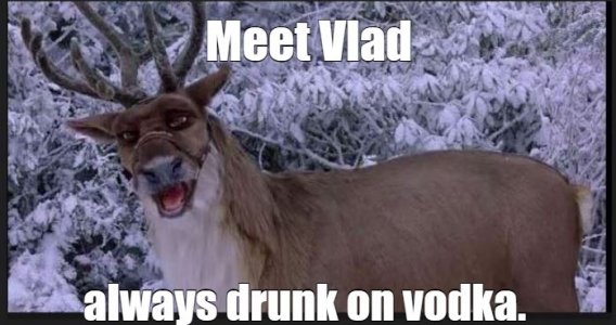 Vlad.JPG
