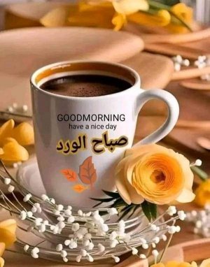 FB_IMG_1702352618719.jpg