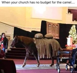 IMG_5724.jpeg