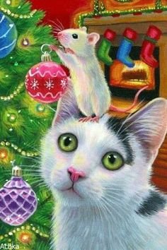 cat & mouse.jpg
