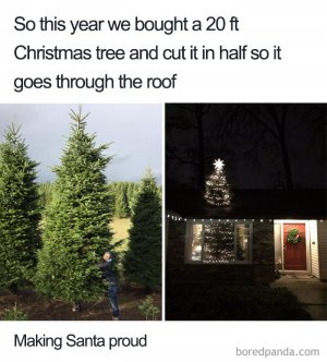 christmas-memes-32-5bfd5f4879de6__700.jpg