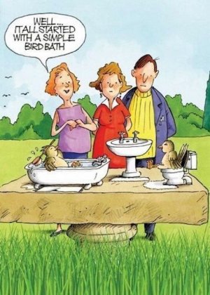Bird Bath.jpg