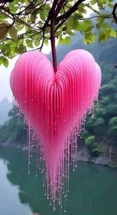 36c772c1a56de62e6f514c152166cbb5.jpg