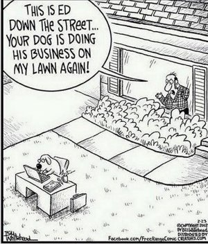 dogbusiness.jpg