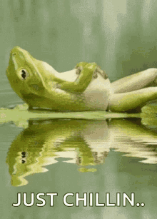 frog-lily.gif