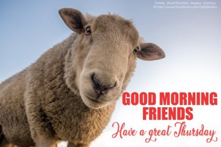 good morning thursday.jpg