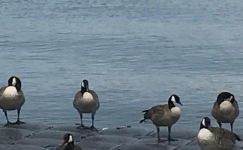 IMG_8149.jpeg