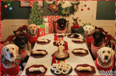 dog xmas.gif