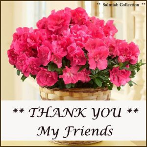 TY Friends.jpg