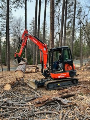 Clearing logs 1.jpg
