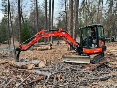 Clearing Logs 3.jpg