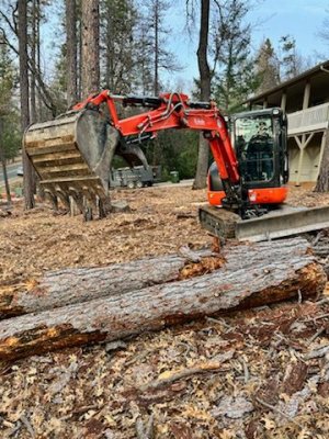 Clearing Logs 4.jpg