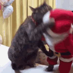 karate santa kitty gif.gif