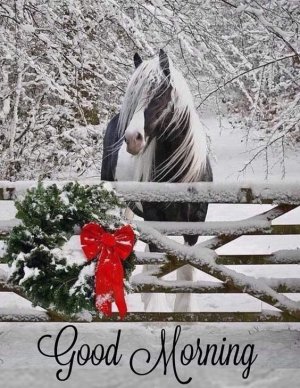 646855bc6cf82e78e7d53bd46ba874f6[1].jpg