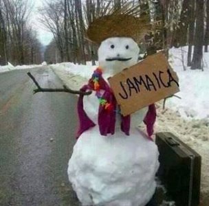 goingtojamaica.jpg