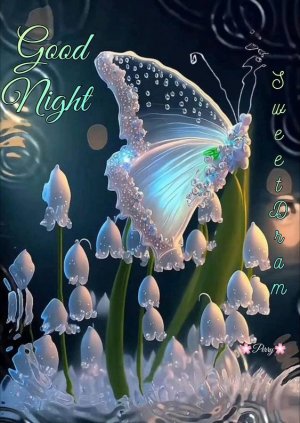 95e64a3d2b64b38b005fee95b42a77a3.jpg