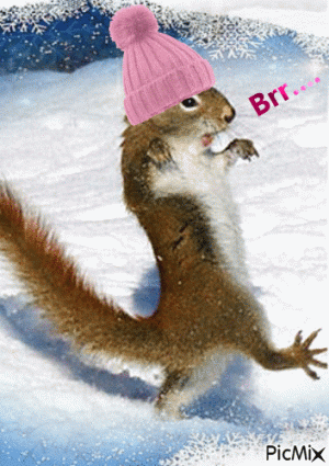 f9c392c9c09017cec08081572b67d37d[1].gif