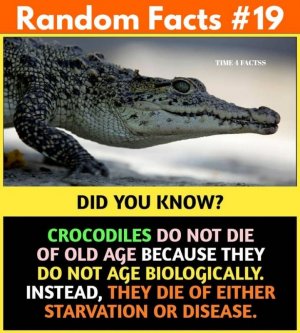 100 Amazing Facts, Interesting Fact.jpeg