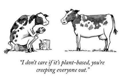 cows.jpg