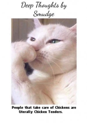 smudge.jpg