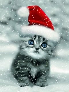 2a26cc39e15ed1435b31c63602e5b966[1].jpg