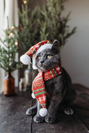 d393b31d6f3af9b675dc4c29484b31ce[1].jpg