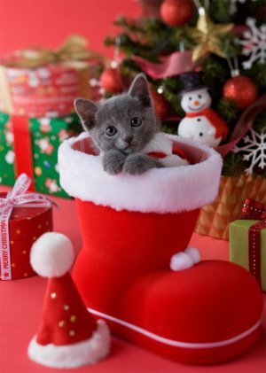 df5b1e706a913f0c1c6943bf3a9284fe[1].jpg