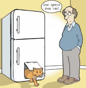 spoiledcat.jpg