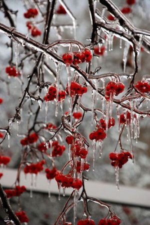 winter3.jpg