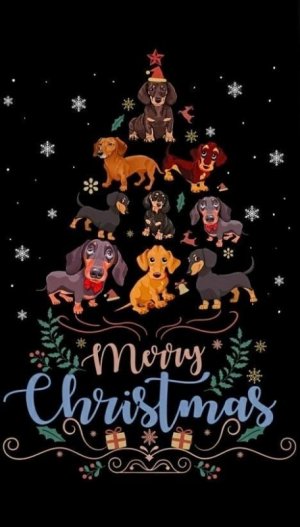 7f4b34584d1ec36e303b82b1e5ce4a93[1].jpg