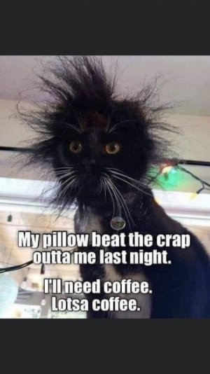 736c74741ce42081c0e7283d797d2fd7.jpg