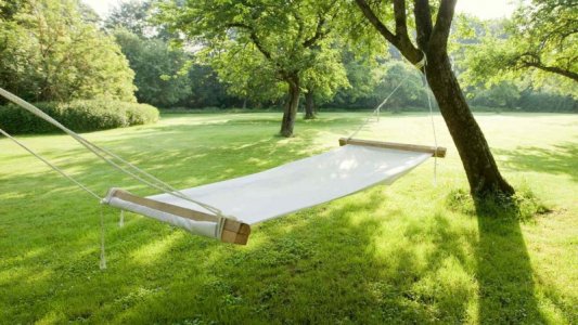 hammock.jpg