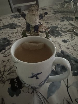 IMG_3379.jpeg IMG_3379.jpeg