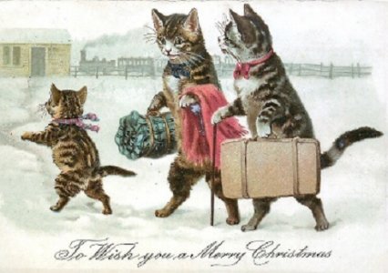 Cats2.jpg
