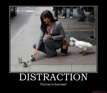 distraction.jpg