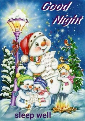 Good night sister and all,have a peaceful sleep,God bless❤❤❤✨✨✨.jpeg