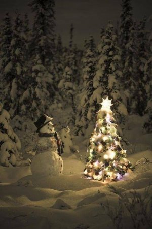 snowman.jpg