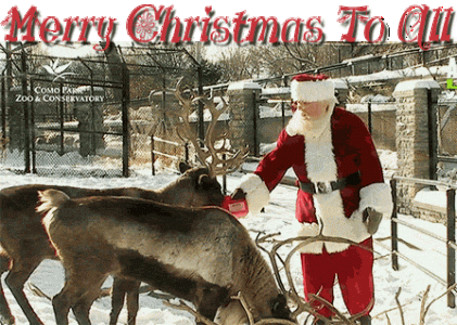 merry-christmas-to-all.gif