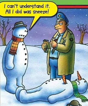 FB_IMG_1703187733392.jpg