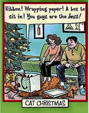 FB_IMG_1702697192005.jpg
