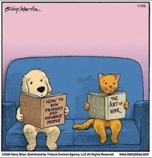 cat dog joke.jpg