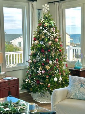 IMG_0270.jpeg IMG_0270.jpeg