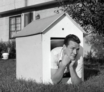 doghouse.jpg